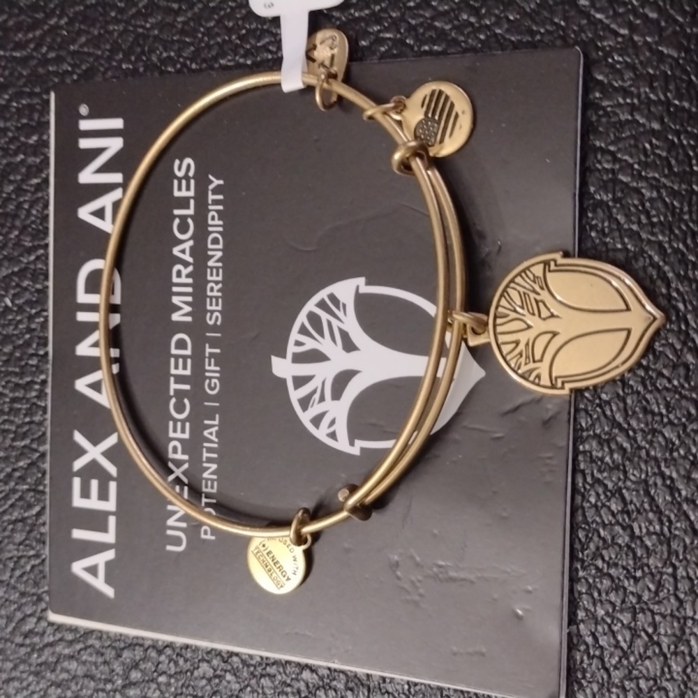 Alex and Ani Gold Charm Bracelet